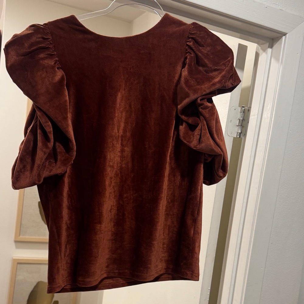 THML Rich Brown Velvet Blouse with Puff Sleeves